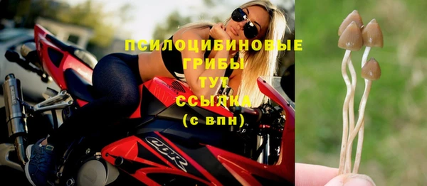 кристаллы Богданович