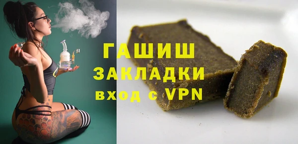 сатива Беломорск