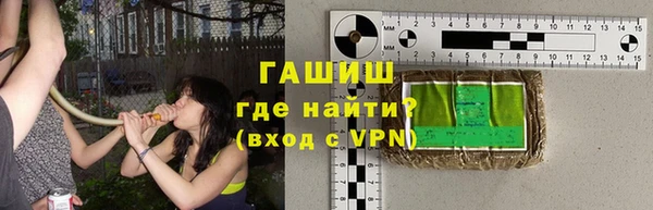 сатива Беломорск